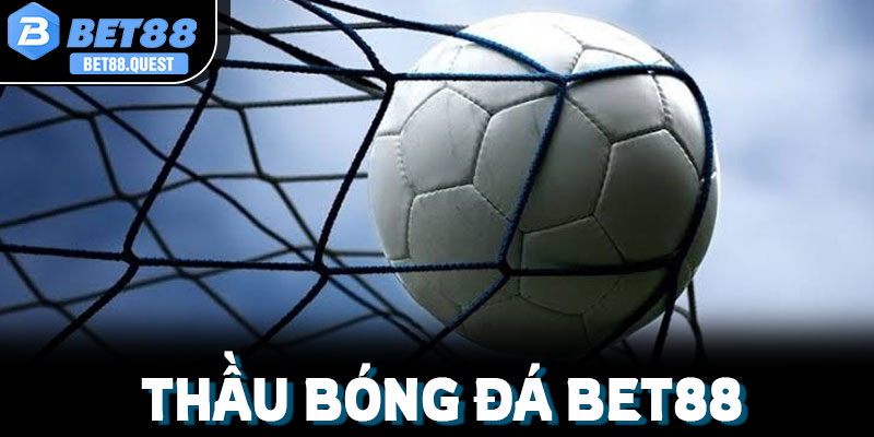 Giải đáp chi tiết các câu hỏi thường gặp về điều kiện, hoa hồng và đặc quyền khi làm đại lý thầu bóng đá Bet88