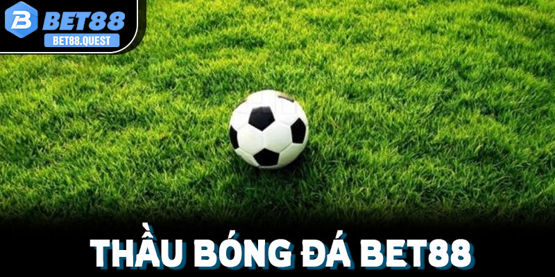 Thầu bóng đá Bet88: Hướng dẫn tham gia & Kinh nghiệm chơi
