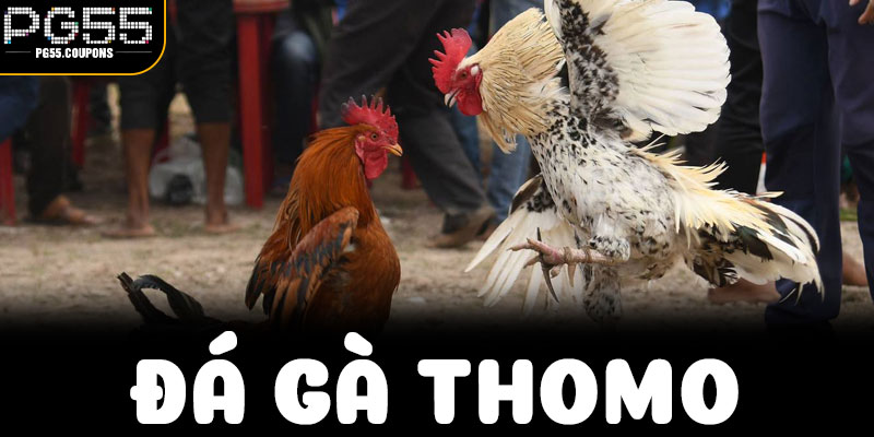 Không chỉ là một trận đấu: Thomo có gì đặc biệt?